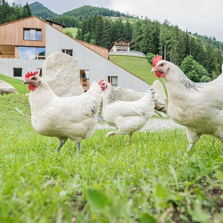 Koasa-Hof Ganzes Ferienhaus Und Sauna 5 Zimmer 240Mq Cadipietra Exterior foto